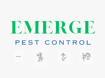 墨尔本一鸣虫控公司Emerge Pest Control竭 ...